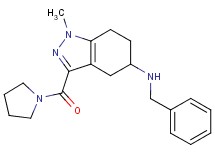 N-benzyl-1-methyl-3-(1-pyrrolidinylcarbonyl)-4,5,6,7-tetrahydro-1H-indazol-5-amine