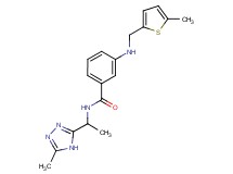3-{[(5-methyl-2-thienyl)methyl]amino}-N-[1-(5-methyl-4H-1,2,4-triazol-3-yl)ethyl]benzamide