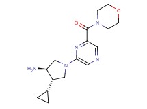 (3R*,4S*)-4-cyclopropyl-1-[6-(morpholin-4-ylcarbonyl)pyrazin-2-yl]pyrrolidin-3-amine