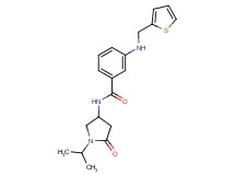 N-(1-isopropyl-5-oxopyrrolidin-3-yl)-3-[(2-thienylmethyl)amino]benzamide