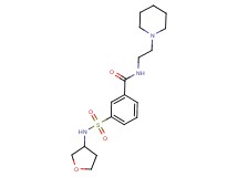 N-(2-piperidin-1-ylethyl)-3-[(tetrahydrofuran-3-ylamino)sulfonyl]benzamide
