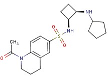 1-acetyl-N-[(1S*,2R*)-2-(cyclopentylamino)cyclobutyl]-1,2,3,4-tetrahydro-6-quinolinesulfonamide