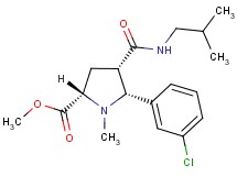 methyl (2S*,4S*,5R*)-5-(3-chlorophenyl)-4-[(isobutylamino)carbonyl]-1-methyl-2-pyrrolidinecarboxylate