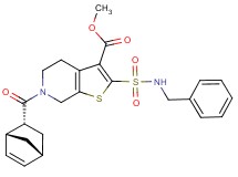 methyl 2-[(benzylamino)sulfonyl]-6-[(1R*,2R*,4R*)-bicyclo[2.2.1]hept-5-en-2-ylcarbonyl]-4,5,6,7-tetrahydrothieno[2,3-c]pyridine-3-carboxylate