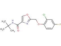 N-(tert-butyl)-2-[(2-chloro-4-fluorophenoxy)methyl]-1,3-oxazole-4-carboxamide