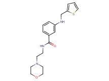 N-(2-morpholin-4-ylethyl)-3-[(2-thienylmethyl)amino]benzamide
