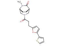 (1S*,5R*)-6-methyl-3-{3-[5-(2-thienyl)-2-furyl]propanoyl}-3,6-diazabicyclo[3.2.2]nonan-7-one