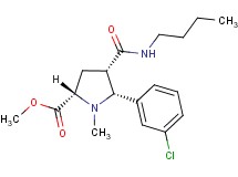 methyl (2S*,4S*,5R*)-4-[(butylamino)carbonyl]-5-(3-chlorophenyl)-1-methyl-2-pyrrolidinecarboxylate