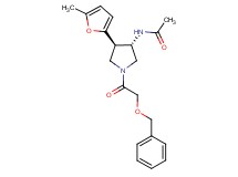 N-[(3S*,4R*)-1-[(benzyloxy)acetyl]-4-(5-methyl-2-furyl)pyrrolidin-3-yl]acetamide