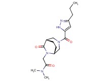 N,N-dimethyl-2-{(1S*,5R*)-7-oxo-3-[(3-propyl-1H-pyrazol-5-yl)carbonyl]-3,6-diazabicyclo[3.2.2]non-6-yl}acetamide