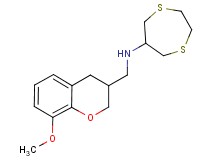 1,4-dithiepan-6-yl[(8-methoxy-3,4-dihydro-2H-chromen-3-yl)methyl]amine