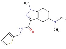 5-(dimethylamino)-1-methyl-N-(2-thienylmethyl)-4,5,6,7-tetrahydro-1H-indazole-3-carboxamide