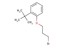 1-(3-bromopropoxy)-2-tert-butylbenzene