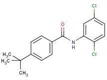 4-tert-butyl-N-(2,5-dichlorophenyl)benzamide