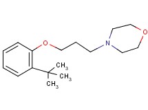 4-[3-(2-tert-butylphenoxy)propyl]morpholine