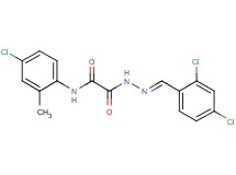 N-(4-chloro-2-methylphenyl)-2-[2-(2,4-dichlorobenzylidene)hydrazino]-2-oxoacetamide
