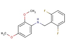 (2,6-difluorobenzyl)(2,4-dimethoxyphenyl)amine