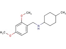 (2,4-dimethoxybenzyl)(4-methylcyclohexyl)amine