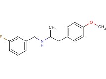 (3-fluorobenzyl)[2-(4-methoxyphenyl)-1-methylethyl]amine