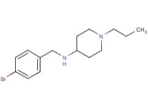 N-(4-bromobenzyl)-1-propyl-4-piperidinamine