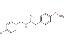 (4-bromobenzyl)[2-(4-methoxyphenyl)-1-methylethyl]amine