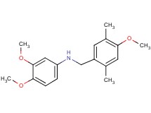 (3,4-dimethoxyphenyl)(4-methoxy-2,5-dimethylbenzyl)amine