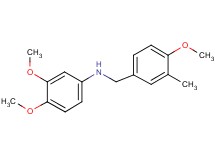 (3,4-dimethoxyphenyl)(4-methoxy-3-methylbenzyl)amine