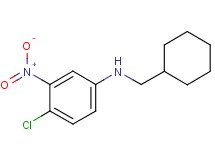 (4-chloro-3-nitrophenyl)(cyclohexylmethyl)amine
