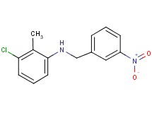 (3-chloro-2-methylphenyl)(3-nitrobenzyl)amine