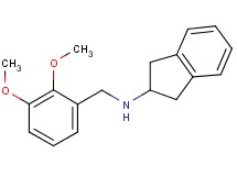 2,3-dihydro-1H-inden-2-yl(2,3-dimethoxybenzyl)amine