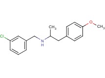 (3-chlorobenzyl)[2-(4-methoxyphenyl)-1-methylethyl]amine