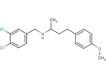 (3,4-dichlorobenzyl)[3-(4-methoxyphenyl)-1-methylpropyl]amine