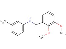 (2,3-dimethoxybenzyl)(3-methylphenyl)amine