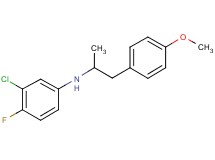 (3-chloro-4-fluorophenyl)[2-(4-methoxyphenyl)-1-methylethyl]amine