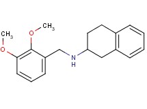 (2,3-dimethoxybenzyl)1,2,3,4-tetrahydro-2-naphthalenylamine