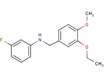 (3-ethoxy-4-methoxybenzyl)(3-fluorophenyl)amine