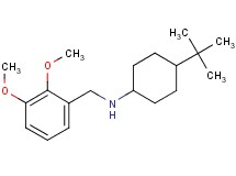 (4-tert-butylcyclohexyl)(2,3-dimethoxybenzyl)amine