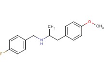 (4-fluorobenzyl)[2-(4-methoxyphenyl)-1-methylethyl]amine