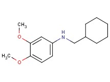 (cyclohexylmethyl)(3,4-dimethoxyphenyl)amine