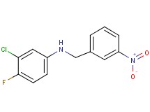 (3-chloro-4-fluorophenyl)(3-nitrobenzyl)amine