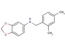 1,3-benzodioxol-5-yl(2,4-dimethylbenzyl)amine