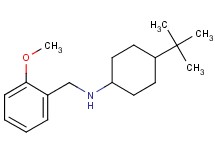 (4-tert-butylcyclohexyl)(2-methoxybenzyl)amine