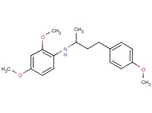 (2,4-dimethoxyphenyl)[3-(4-methoxyphenyl)-1-methylpropyl]amine