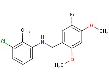 (5-bromo-2,4-dimethoxybenzyl)(3-chloro-2-methylphenyl)amine