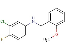 (3-chloro-4-fluorophenyl)(2-methoxybenzyl)amine