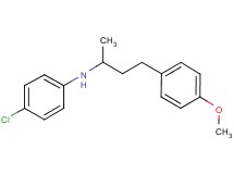 (4-chlorophenyl)[3-(4-methoxyphenyl)-1-methylpropyl]amine