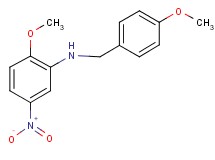 (4-methoxybenzyl)(2-methoxy-5-nitrophenyl)amine