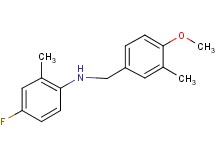 (4-fluoro-2-methylphenyl)(4-methoxy-3-methylbenzyl)amine