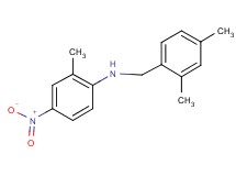 (2,4-dimethylbenzyl)(2-methyl-4-nitrophenyl)amine