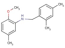 (2,4-dimethylbenzyl)(2-methoxy-5-methylphenyl)amine